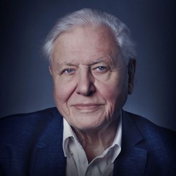 The Business of Film: Ocean with David Attenborough, The Wedding Banquet & Assessment
