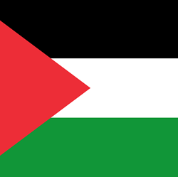 The Bigger Picture: Recognising Palestine, the doctors' strike, Trump's visit & migration